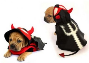 devil-dog-halloween-costumes